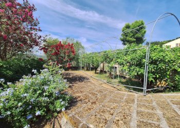 Foto 22 - Rustico C.da San Salvatore
 
8, Ripatransone - foto 22