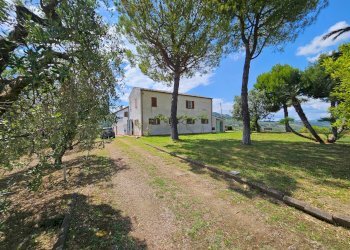 Foto 57 - Rustico C.da San Salvatore
 
8, Ripatransone - foto 57