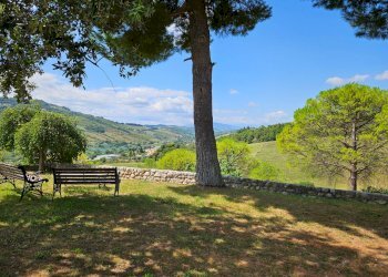 Foto 58 - Rustico C.da San Salvatore
 
8, Ripatransone - foto 58