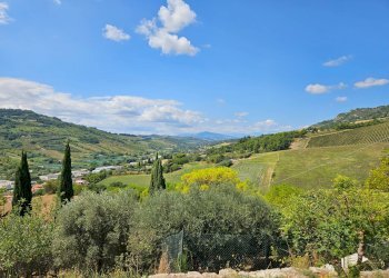 Foto 62 - Rustico C.da San Salvatore
 
8, Ripatransone - foto 62