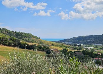 Foto 66 - Rustico C.da San Salvatore
 
8, Ripatransone - foto 66