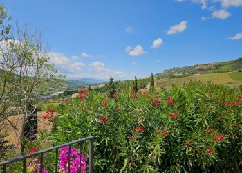 Foto 67 - Rustico C.da San Salvatore
 
8, Ripatransone - foto 67