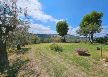 Foto 69 - Rustico C.da San Salvatore
 
8, Ripatransone - foto 69