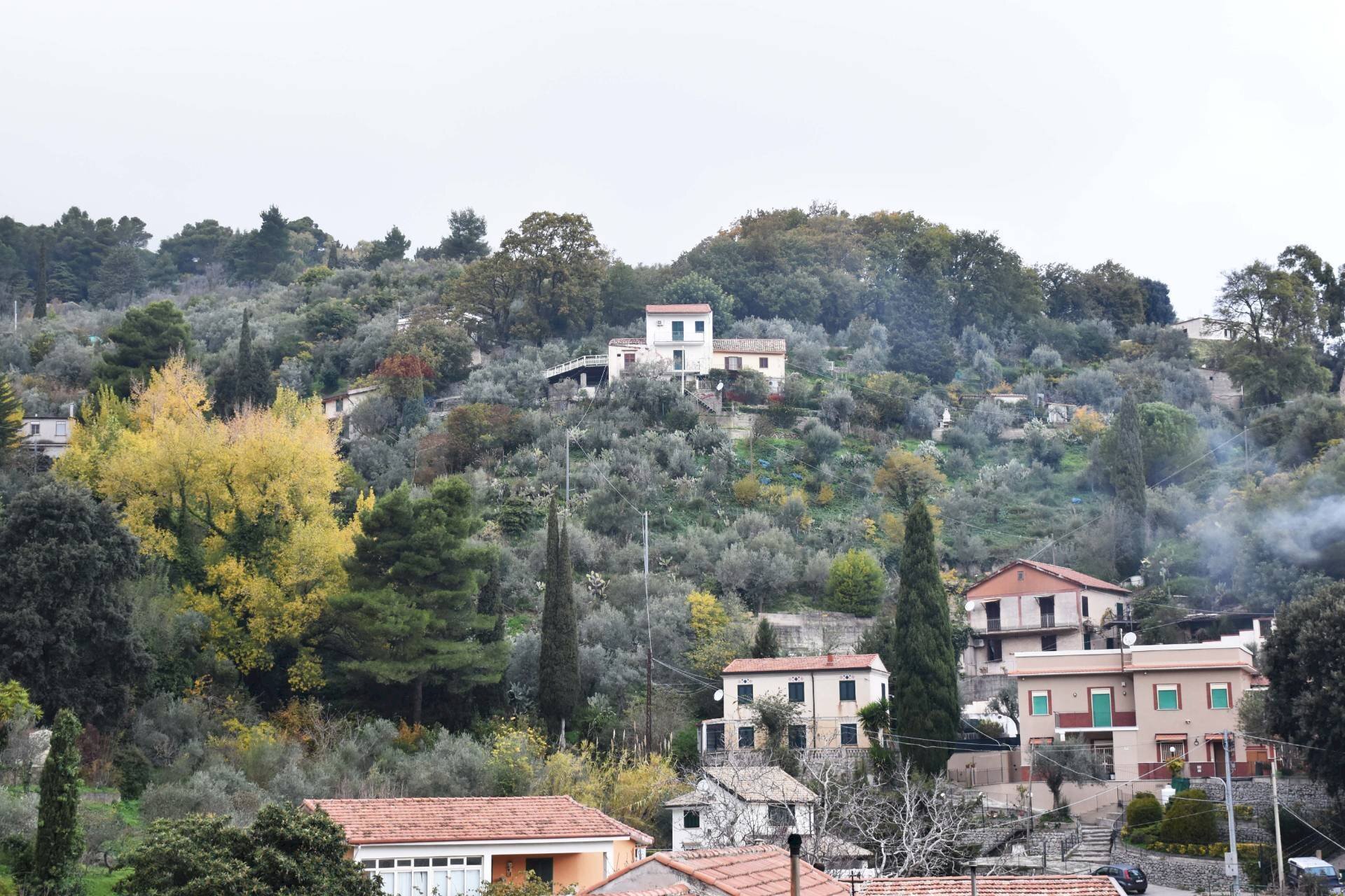 Particolare - Terreno edificabile Via della Forestale
 
snc, Monreale - foto 1