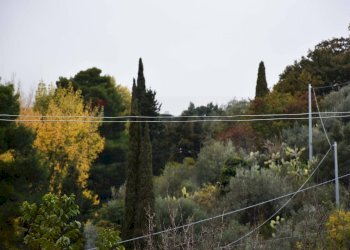 Particolare - Terreno edificabile Via della Forestale
snc, Monreale - foto 8