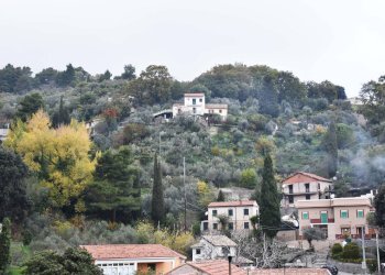 Particolare - Terreno edificabile Via della Forestale
snc, Monreale - foto 1