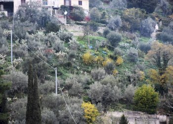 Vista terreno - Terreno edificabile Via della Forestale
snc, Monreale - foto 10