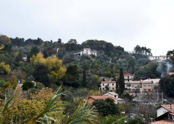 Vista terreno - Terreno edificabile Via della Forestale
snc, Monreale - foto 11