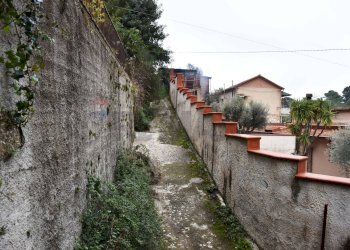 Zona accesso - Terreno edificabile Via della Forestale
snc, Monreale - foto 19