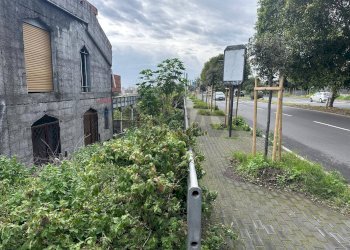 Giardino - Trilocale Via San Paolo
 
49, Catania - foto 21