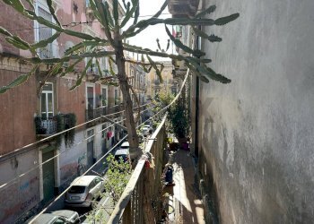 Balcone - Quadrilocale Via Pozzo Canale
 
25, Catania - foto 18