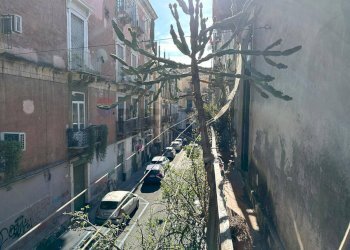 Edificio all\'aperto - Quadrilocale Via Pozzo Canale
 
25, Catania - foto 19