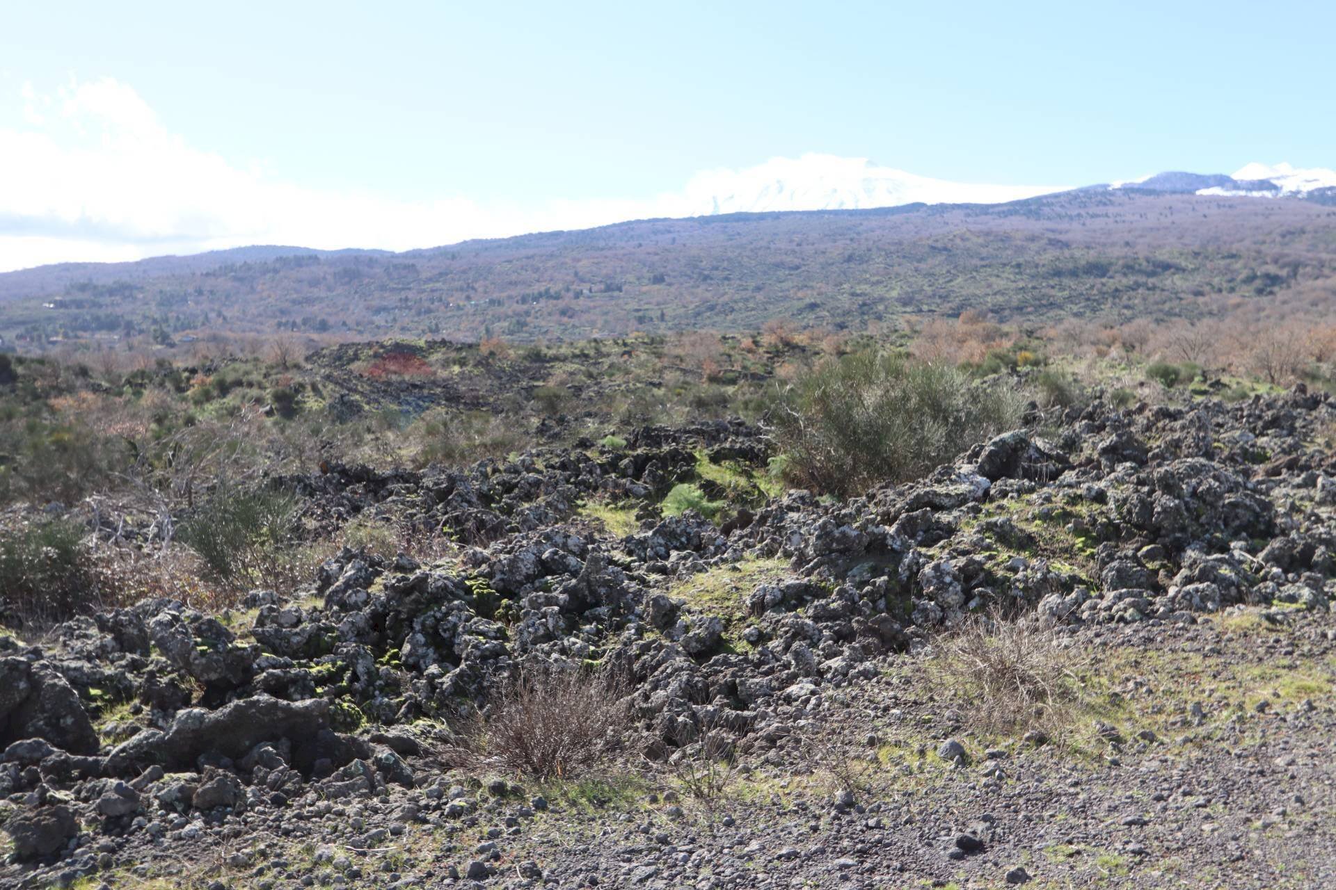 Vista delle montagne - Terreno edificabile Strada Regionale Mareneve
 
snc, Linguaglossa - foto 3