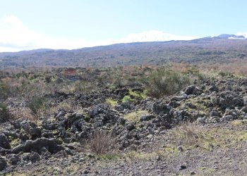 Vista delle montagne - Terreno edificabile Strada Regionale Mareneve
 
snc, Linguaglossa - foto 3