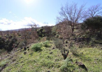 Vista delle montagne - Terreno edificabile Strada Regionale Mareneve
 
snc, Linguaglossa - foto 7