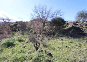 Vista delle montagne - Terreno edificabile Strada Regionale Mareneve
 
snc, Linguaglossa - foto 8