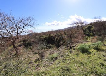 Vista delle montagne - Terreno edificabile Strada Regionale Mareneve
 
snc, Linguaglossa - foto 9