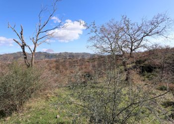 Vista delle montagne - Terreno edificabile Strada Regionale Mareneve
 
snc, Linguaglossa - foto 10