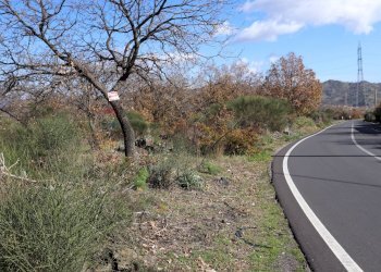 Giardino - Terreno edificabile Strada Regionale Mareneve
 
snc, Linguaglossa - foto 11