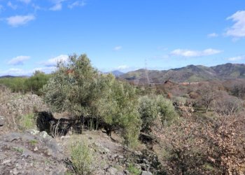 Vista delle montagne - Terreno edificabile Strada Regionale Mareneve
 
snc, Linguaglossa - foto 16
