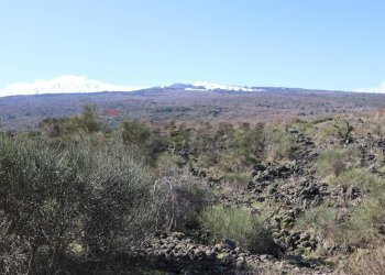 Vista delle montagne - Terreno edificabile Strada Regionale Mareneve
 
snc, Linguaglossa - foto 21