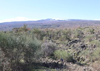 Vista delle montagne - Terreno edificabile Strada Regionale Mareneve
 
snc, Linguaglossa - foto 22