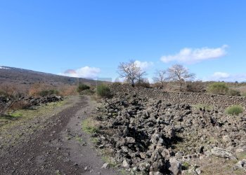 Vista delle montagne - Terreno edificabile Strada Regionale Mareneve
 
snc, Linguaglossa - foto 24