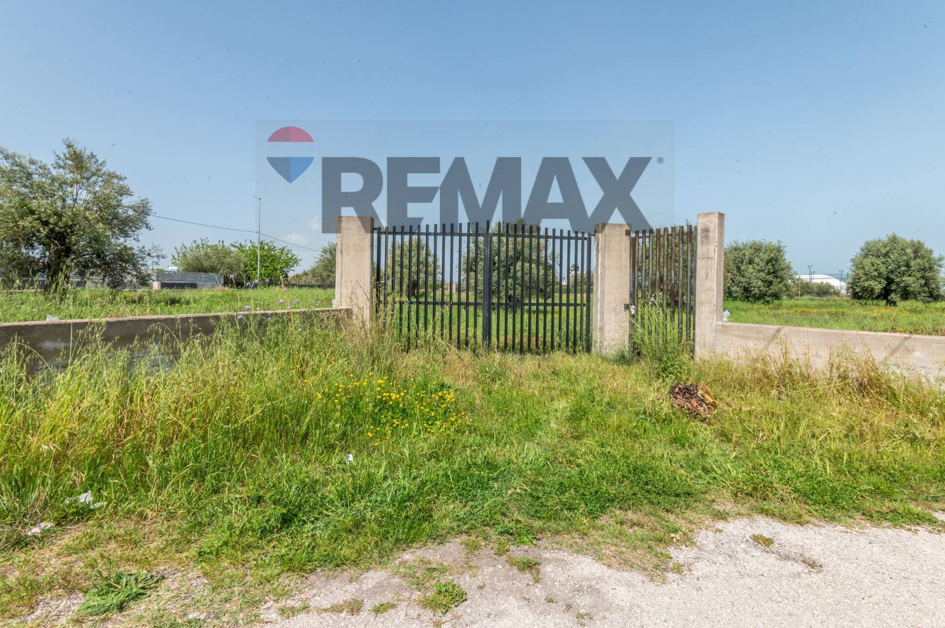 Giardino - Terreno agricolo Contrada Oliveto
 
snc, Augusta - foto 1