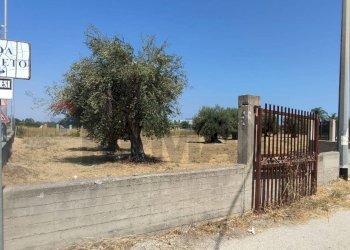 Edificio all\'aperto - Terreno agricolo Contrada Oliveto
 
snc, Augusta - foto 2