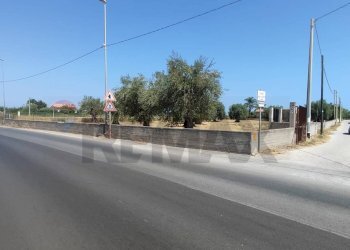 Non correlato - Terreno agricolo Contrada Oliveto
 
snc, Augusta - foto 3