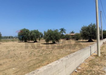 Non correlato - Terreno agricolo Contrada Oliveto
 
snc, Augusta - foto 4