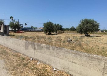 Non correlato - Terreno agricolo Contrada Oliveto
 
snc, Augusta - foto 7