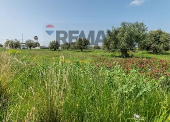 Giardino - Agricultural land Contrada Oliveto
 
snc, Augusta - photo 5