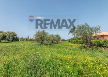 Giardino - Agricultural land Contrada Oliveto
 
snc, Augusta - photo 6