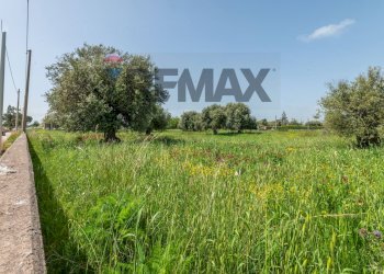 Giardino - Agricultural land Contrada Oliveto
 
snc, Augusta - photo 7