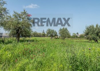 Giardino - Agricultural land Contrada Oliveto
 
snc, Augusta - photo 9