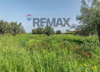 Giardino - Agricultural land Contrada Oliveto
 
snc, Augusta - photo 10