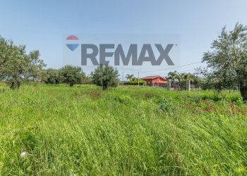 Giardino - Agricultural land Contrada Oliveto
 
snc, Augusta - photo 11