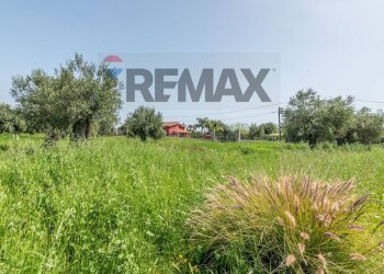 Giardino - Agricultural land Contrada Oliveto
 
snc, Augusta - photo 12