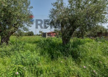 Giardino - Agricultural land Contrada Oliveto
 
snc, Augusta - photo 13