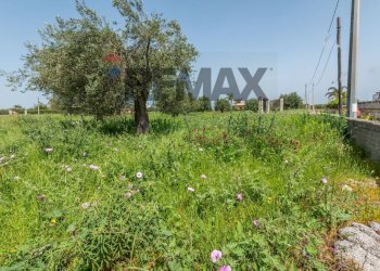 Giardino - Agricultural land Contrada Oliveto
 
snc, Augusta - photo 15