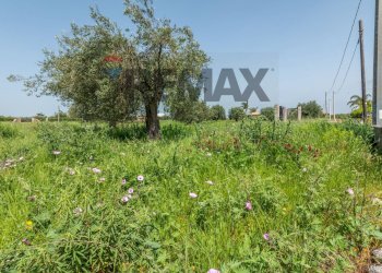 Giardino - Agricultural land Contrada Oliveto
 
snc, Augusta - photo 16