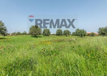 Giardino - Agricultural land Contrada Oliveto
 
snc, Augusta - photo 17