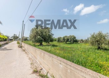 Giardino - Agricultural land Contrada Oliveto
 
snc, Augusta - photo 19