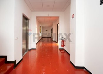 Hall / corridoio - Stabile - Palazzo Via Brescia
 
22, Cernusco sul Naviglio - foto 16