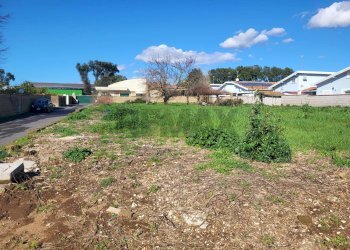 Giardino - Terreno edificabile Via della Cannuccia
 
25, Anzio - foto 3