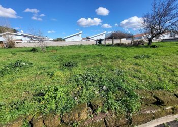 Giardino - Terreno edificabile Via della Cannuccia
 
25, Anzio - foto 11