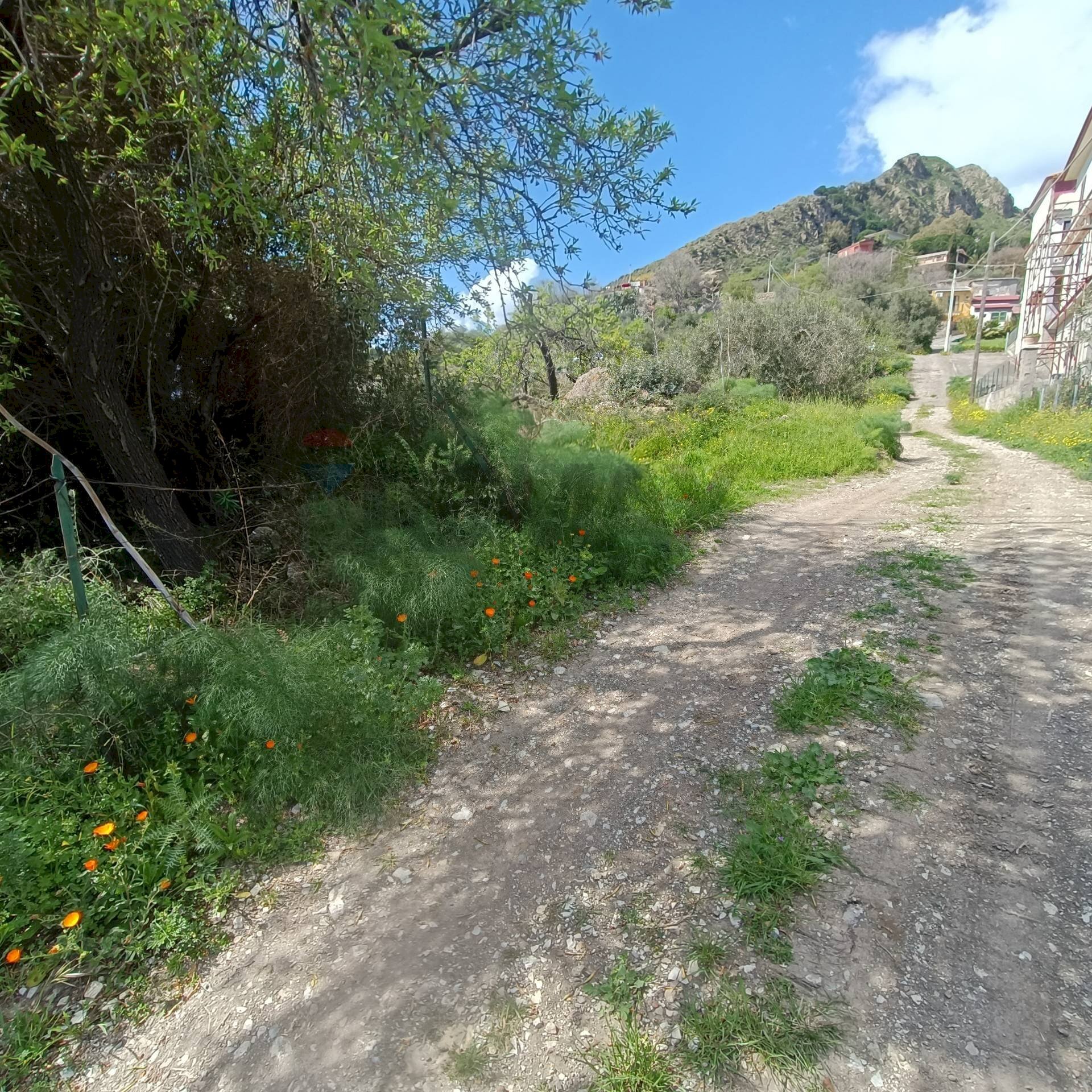 Vista delle montagne - Rustico contrada mastrissa
 
snc, Castelmola - foto 3
