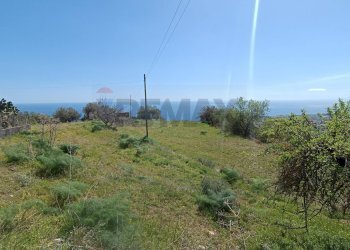 Giardino - Rustico contrada mastrissa
 
snc, Castelmola - foto 8