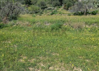 Vista delle montagne - Rustico contrada mastrissa
 
snc, Castelmola - foto 9